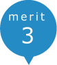 merit3
